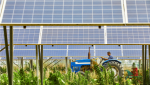 agrivoltaica solar en agricultura